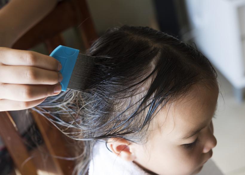 haar van meisje wordt gekamd met luizenkam