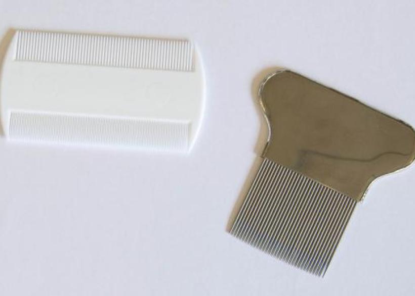 Afbeelding hoofdluiskam