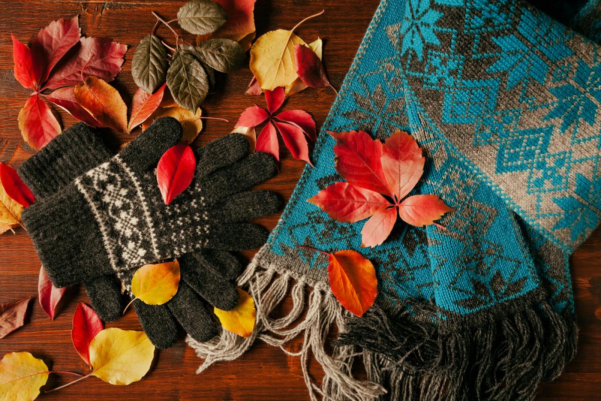 handschoenen en sjaal bedekt met herfstbladeren